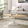 Lippa 48" Oval Coffee Table in White Natural