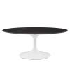 Lippa 42" Oval Artificial Marble Coffee Table in White Black