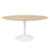 Lippa 60" Oval Dining Table in White Natural