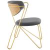Prevail Gold Stainless Steel Dining and Accent Performance Velvet Chair in Gold Gray