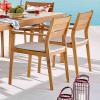 Viewscape Outdoor Patio Ash Wood Dining Armchair Set of 2 in Natural Taupe