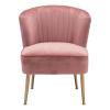 Tina Accent Chair Pink, Gold & Foliage Print