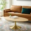 Lippa 48" Oval Wood Coffee Table in Gold Natural