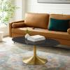 Lippa 42" Oval Artificial Marble Coffee Table in Gold Black