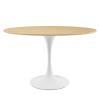 Lippa 48" Oval Dining Table in White Natural