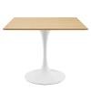 Lippa 36" Square Dining Table in White Natural