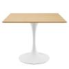 Lippa 36" Square Dining Table in White Natural