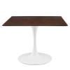Lippa 40" Square Dining Table in White Cherry Walnut