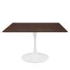 Lippa 47" Square Dining Table in White Cherry Walnut