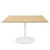 Lippa 47" Square Dining Table in White Natural