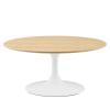 Lippa 36" Coffee Table in White Natural